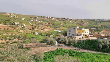 أرض في بيرين/ صروت - 40,000 دأ - صورة NaN