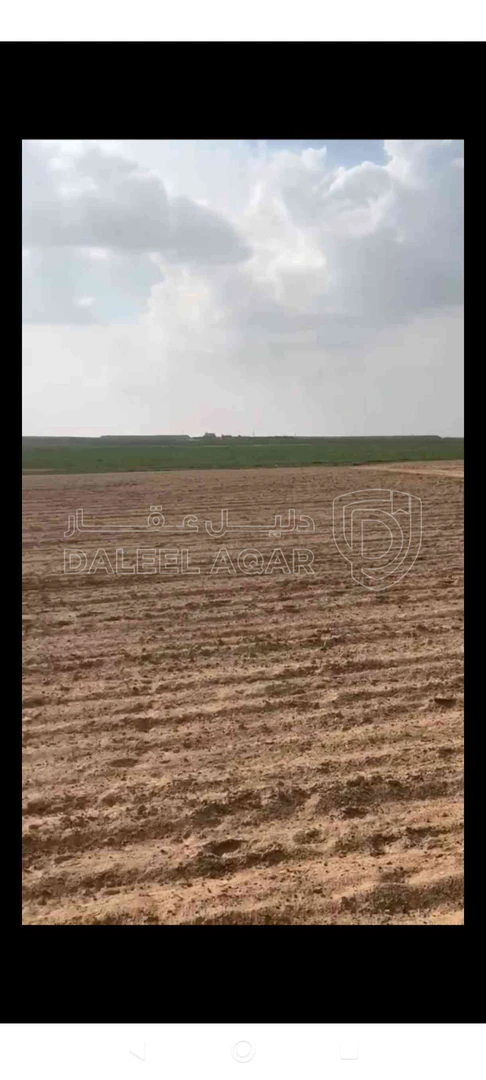 أرض في شارع المطار -خلف مطار الملكة علياء - 35,000 دأ - صورة 1