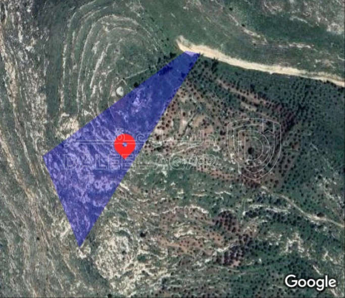 أرض في اربد،هام،قاصيا - 57,000 دأ - صورة 1