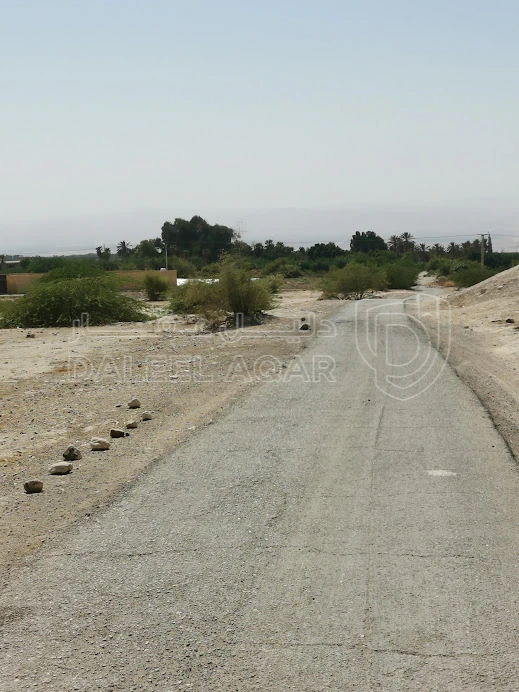 أرض في غور نمرين السكنه  - 115,000 دأ - صورة 1
