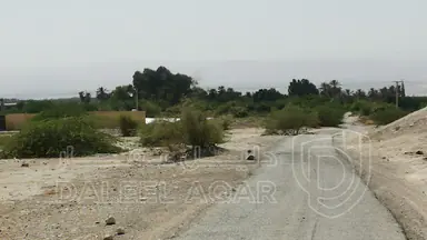 أرض في غور نمرين السكنه  - 115,000 دأ - صورة NaN