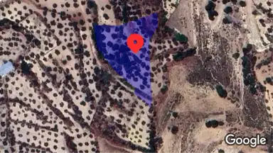 مزرعة/شاليه  - 120000 دأ
