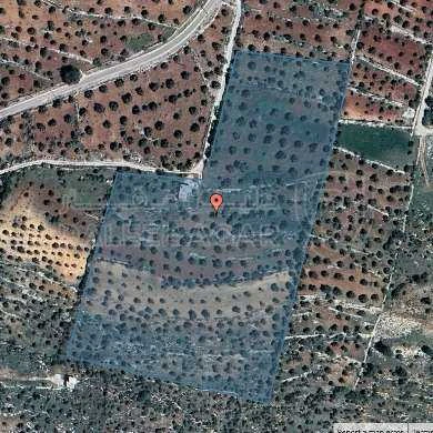 أرض في عجلون _ مزرعة الشكارة  - 445,009 دأ - صورة 1