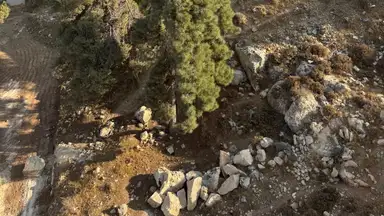 أرض في خلف بلدية صويلح الجديده  - 150,000 دأ - صورة NaN