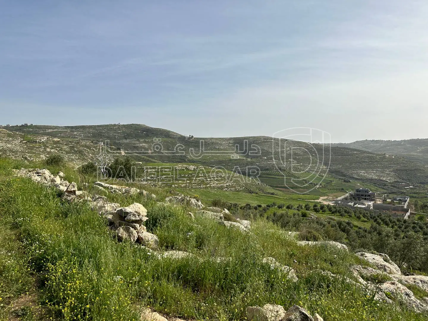 أرض في للبيع أرض زراعية مميزة مطلة على فلسطين - 125,000 دأ - صورة 1