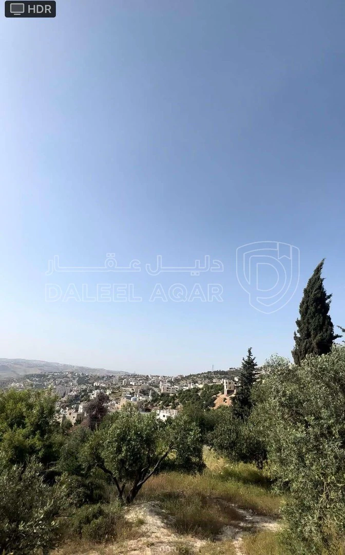 أرض في ماحص / أطراف منطقة بدر الجديده / بجانب قصر السعودي  - 180,000 دأ - صورة 1
