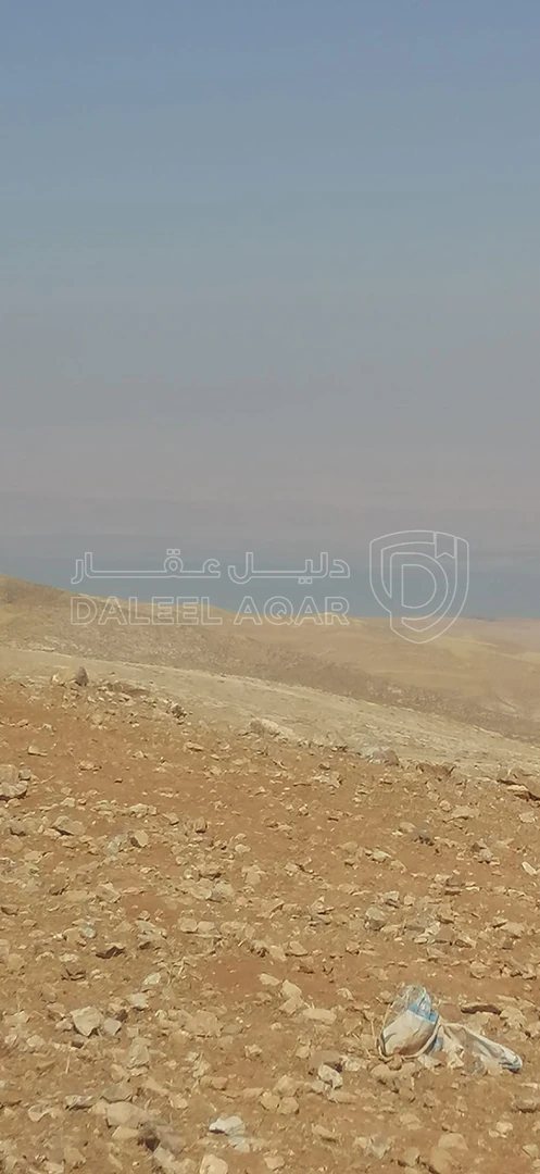 أرض في  مادبا - ماعين  - 90,000 دأ - صورة 1
