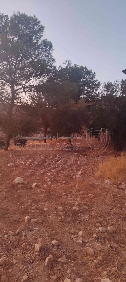 أرض في الزرقاء قضاء بيرين صروت  - 187,500 دأ - صورة 1