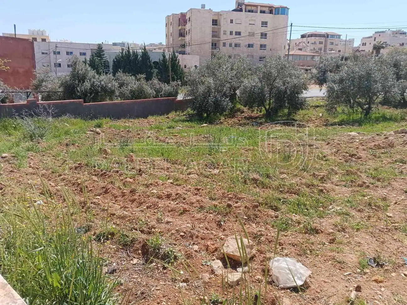 أرض في أرض للبيع شفا بدران  - 950,000 دأ - صورة 1