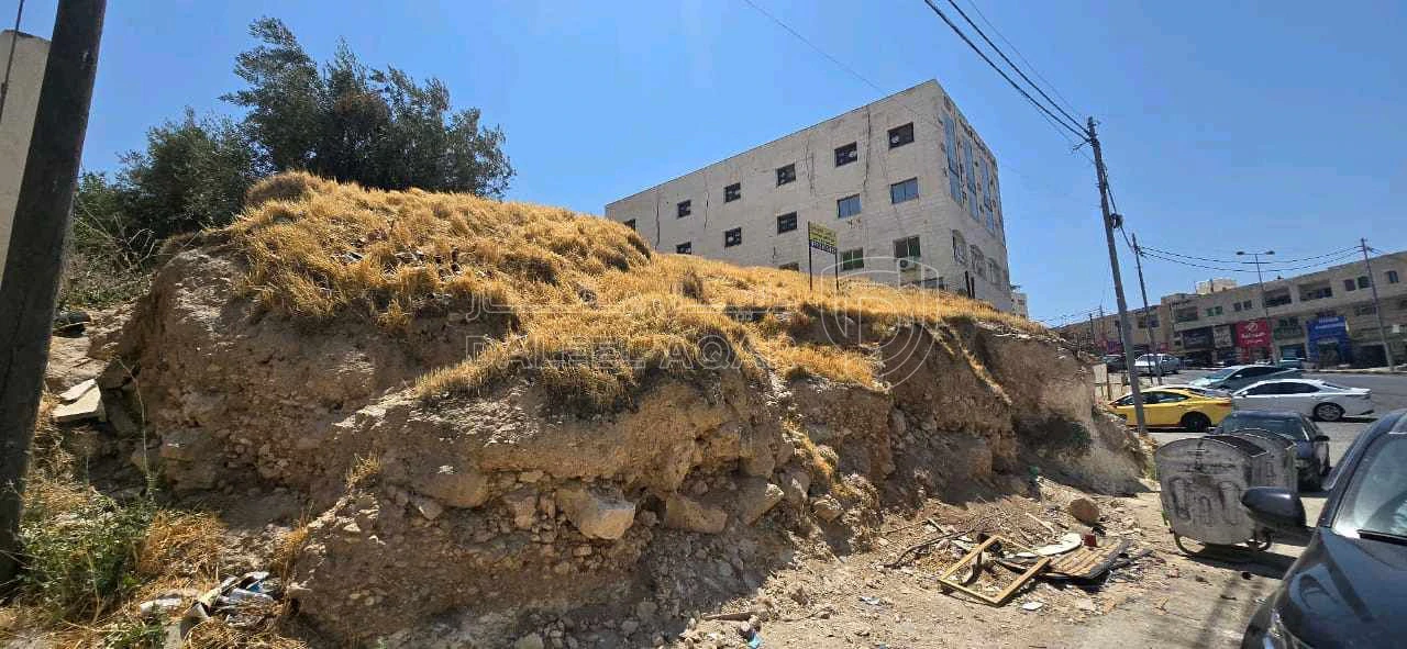 أرض في شفا بدران  - 200,000 دأ - صورة 1