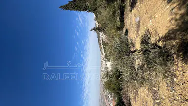 أرض في ماحص / أطراف منطقة بدر الجديده / بجانب قصر السعودي  - 170,000 دأ - صورة NaN