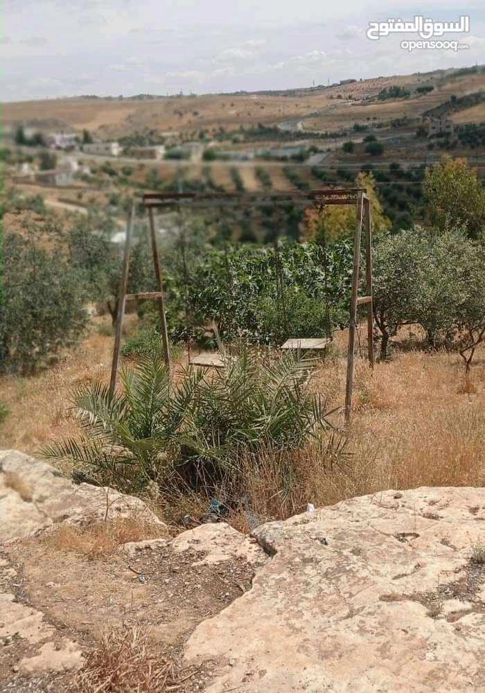 مبنى في المفرق حمامة العموش  - 32,000 دأ - صورة 1