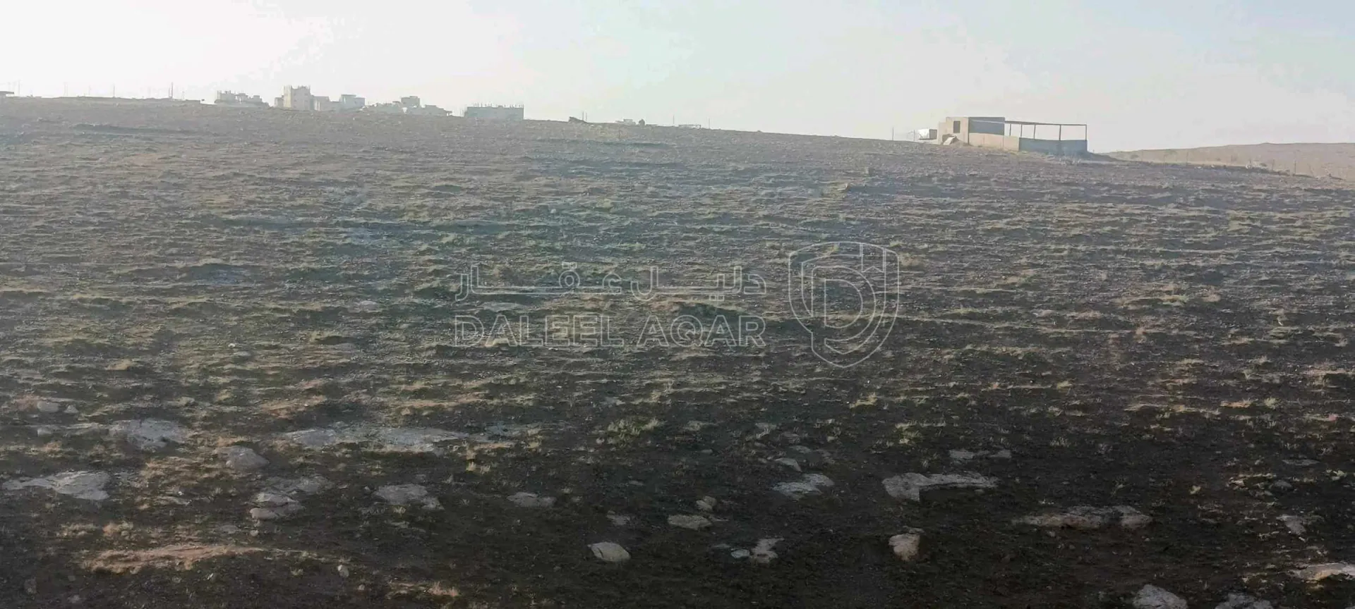 أرض في الكرك قرية مدين - 6,200 دأ - صورة 1