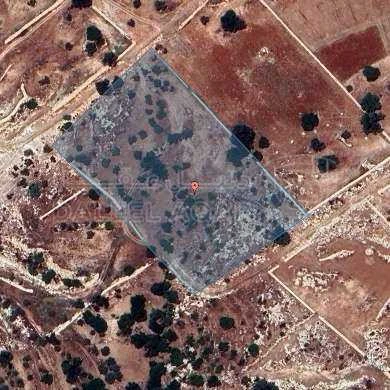 أرض في عمان _ اراضي غرب عمان _ البصة  - 390,000 دأ - صورة 1