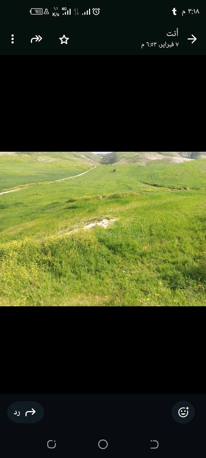 أرض في جنوب اسكان المكرمه بالاغوار الشماليه - 36,000 دأ - صورة 1