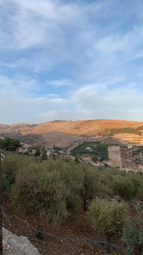 أرض في مزرعه بسعر مغري جداً في السلط جورة صالح - 82,000 دأ - صورة 1