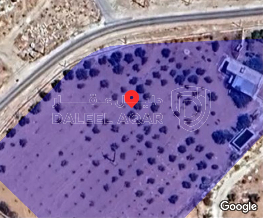 مزرعة/شاليه في مادبا / ذيبان اراضي لب /شارع بشار  - 75,000 دأ - صورة 1