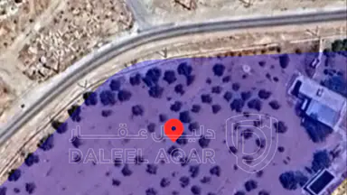 مزرعة/شاليه في مادبا / ذيبان اراضي لب /شارع بشار  - 75,000 دأ - صورة NaN