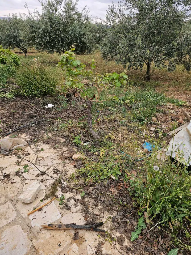 مبنى في جرش جبه بالقرب من سيل جرش  منطقه هادئه ومطله ومخدومه  - 290,000 دأ - صورة 1