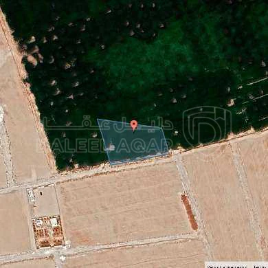 أرض في جنوب عمان - 13,450 دأ - صورة 1