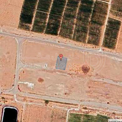 أرض في عمان - الطنيب - 51,000 دأ - صورة 1