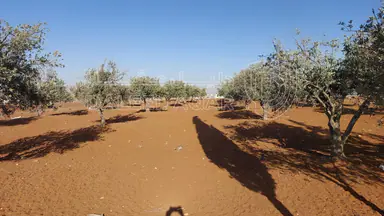 أرض في مأدبا - ماعين  - 90,000 دأ - صورة NaN