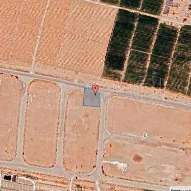 أرض في عمان - الطنيب - 81,000 دأ - صورة 1