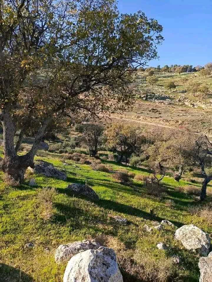 أرض في العالوك - 82,000 دأ - صورة 1