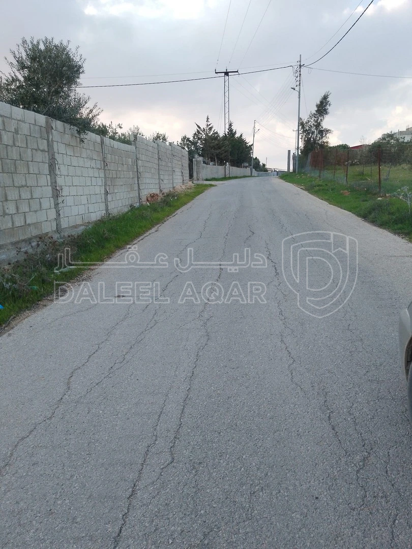 أرض في أراضي مادبا  - 140,000 دأ - صورة 1