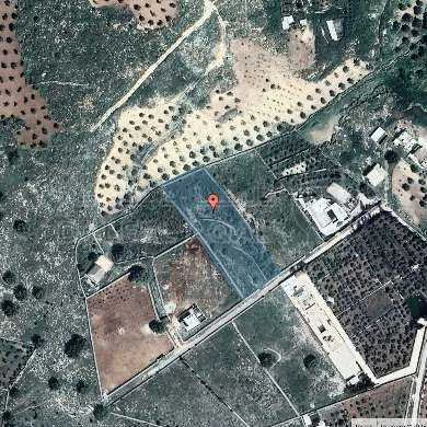 أرض في الزرقاء  - صروت   -  القرين - 82,340 دأ - صورة 1