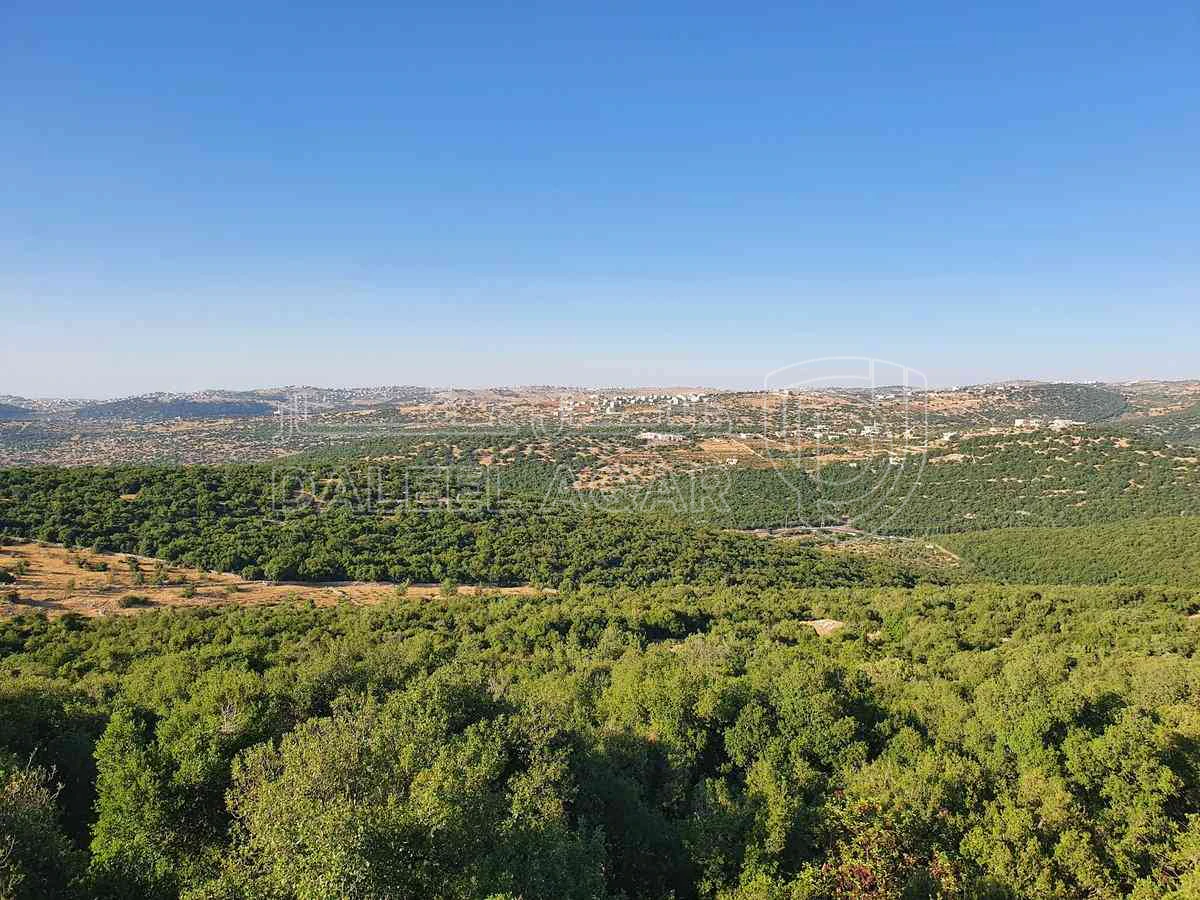 أرض في عجلون قرب المحمية الملكية - 43,000 دأ - صورة 1