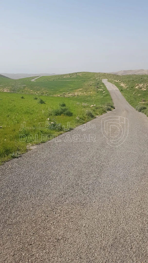 أرض في  مادبا - ماعين  - 90,000 دأ - صورة 1