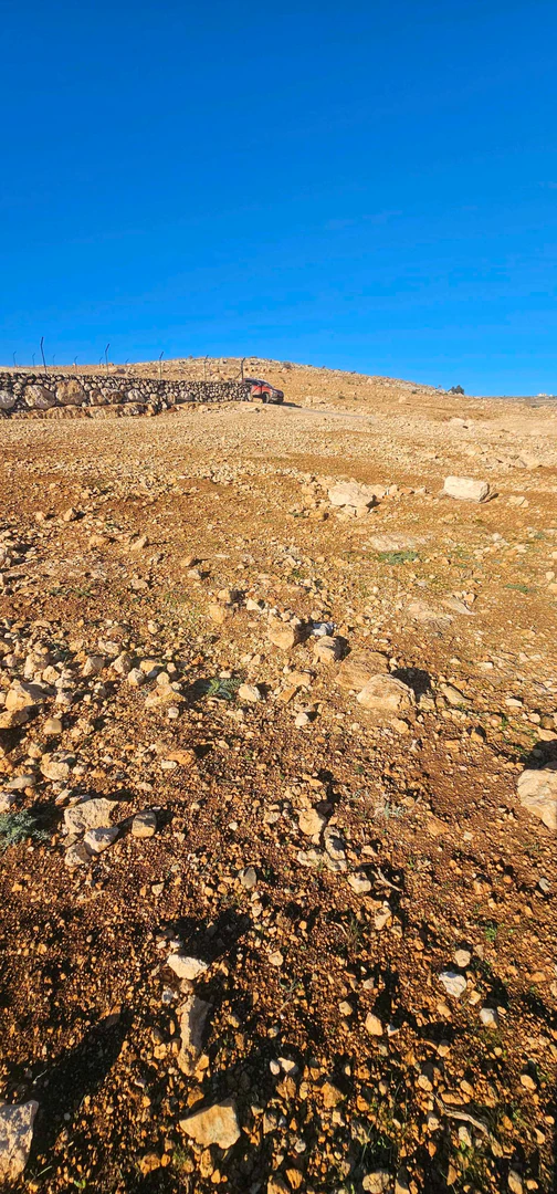 أرض في المفرق - 2,900 دأ - صورة 1