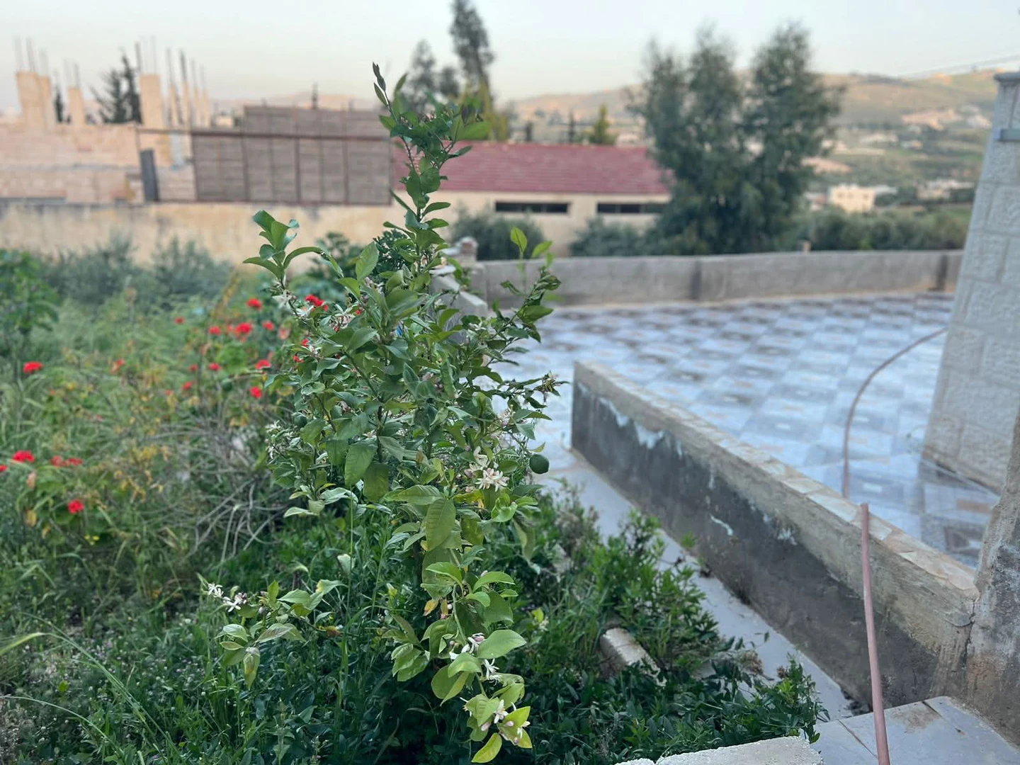 فيلا/منزل في فيلا للبيع في بيرين قرب شفا بدران - 160,000 دأ - صورة 1