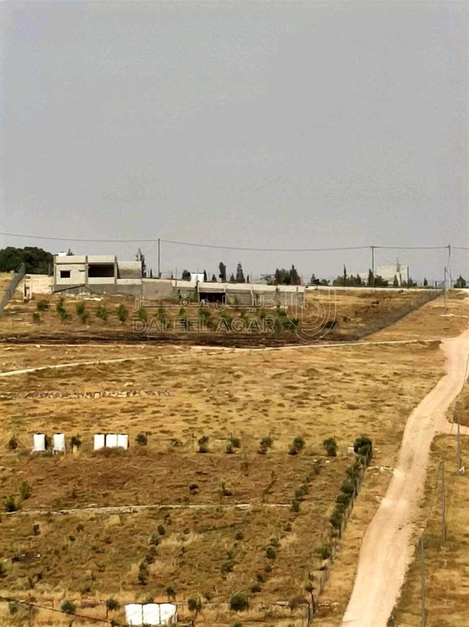 أرض في بلعما قرية حمنانه غرب مدرسة البستانة - 20,000 دأ - صورة 1