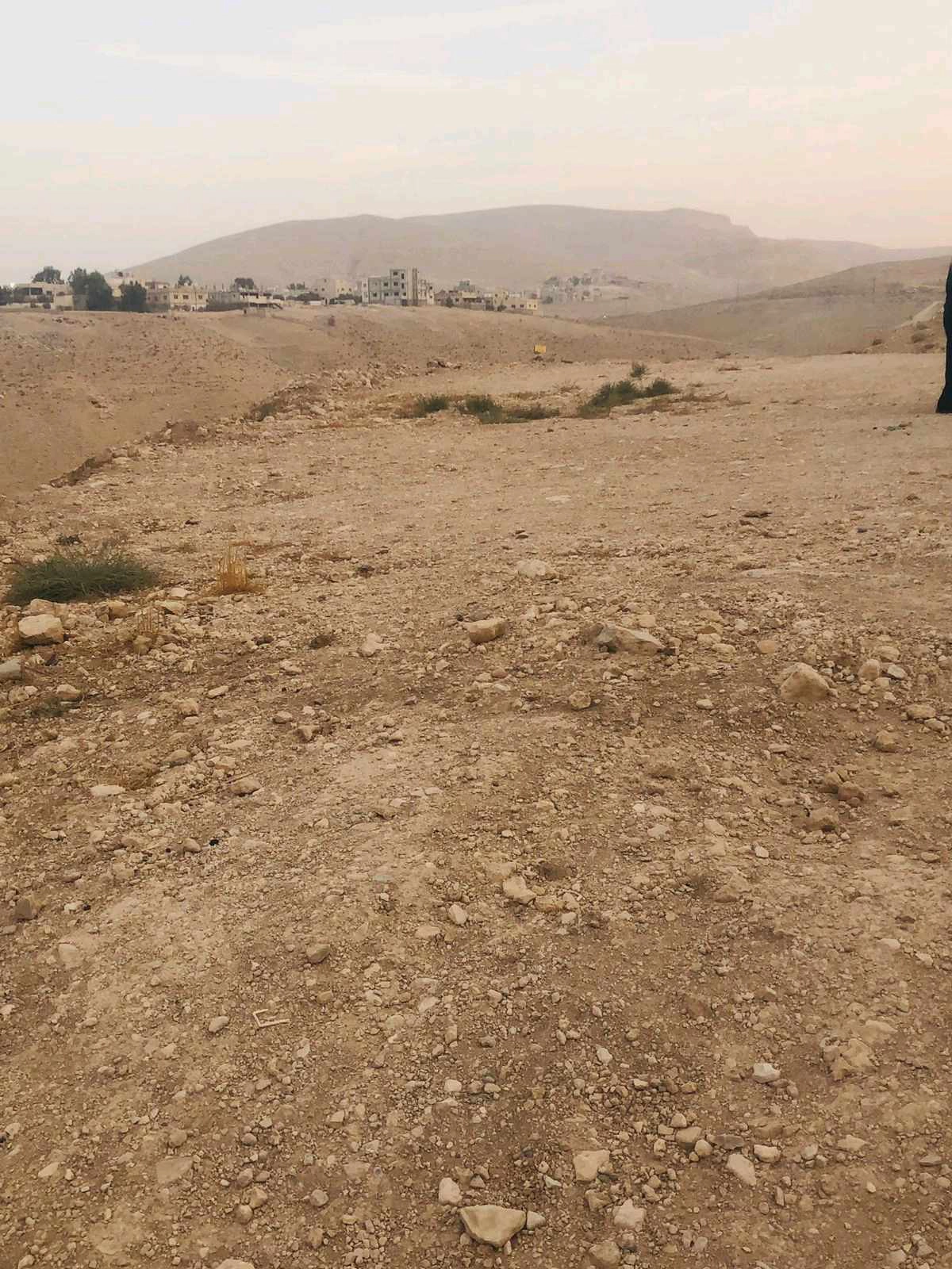 أرض في الزرقاء دوقرة  - 46,000 دأ - صورة 1