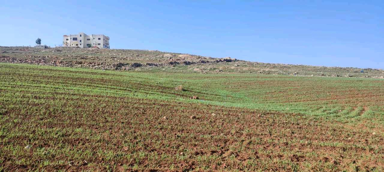 أرض في مادبا الجامعه الامريكيا  - 70,000 دأ - صورة 1