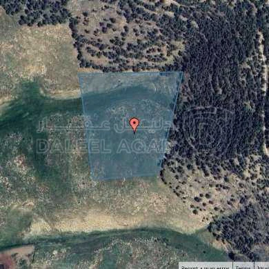 أرض في البلقاء - السلط - الرميمين - 634,920 دأ - صورة 1