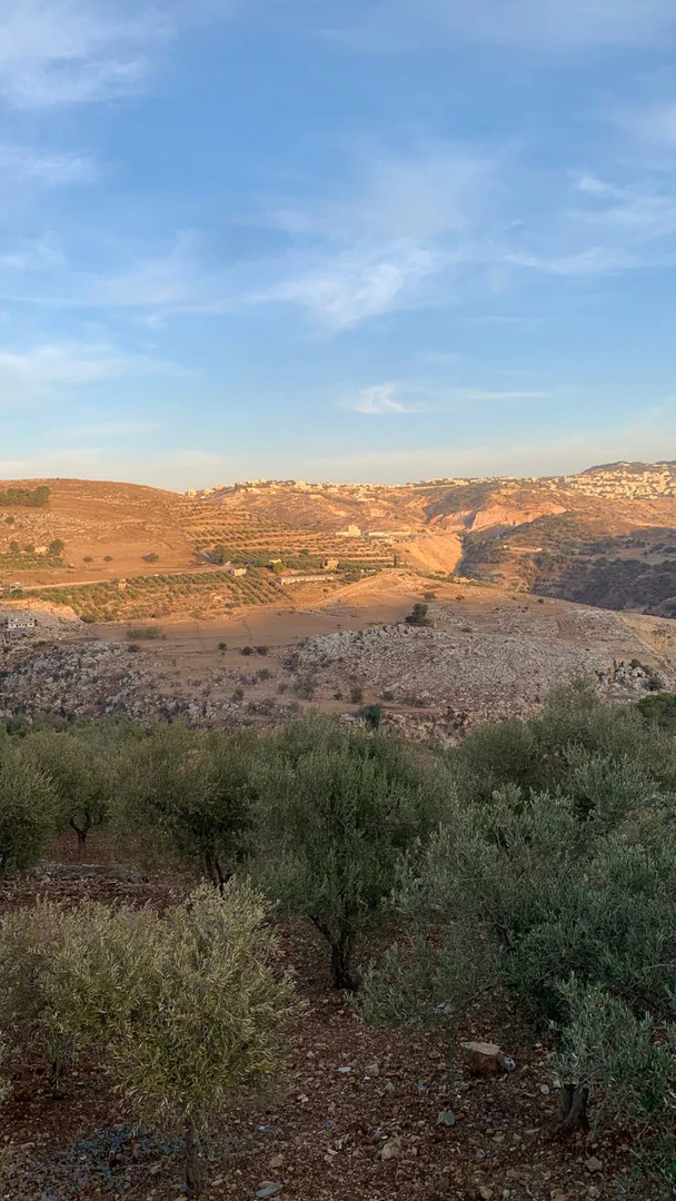 أرض في مزرعه بسعر مغري جداً في السلط جورة صالح - 82,000 دأ - صورة 1