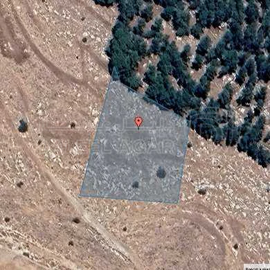 أرض في قرية أم انجاصة ملاصقة للغابة - 145,000 دأ - صورة 1