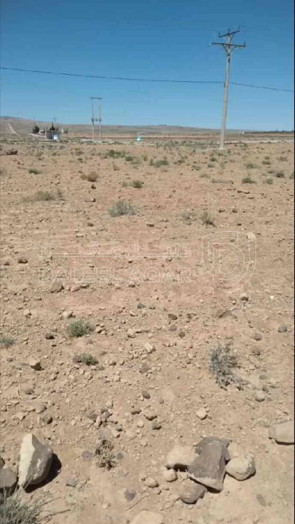 أرض في المفرق لواء البادية الشمالية الشرقية قرية الهاشمية الشرقية طريق عمان بغداد الدولي  - 11,500 دأ - صورة 1
