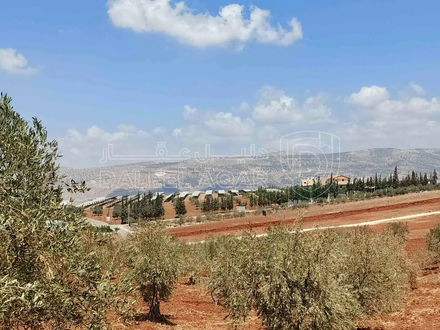 أرض في أرض للبيع - 75,000 دأ - صورة 1