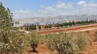 أرض في أرض للبيع  - 75,000 دأ - صورة NaN