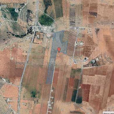 أرض في المفرق - البويضة  - 206,000 دأ - صورة 1