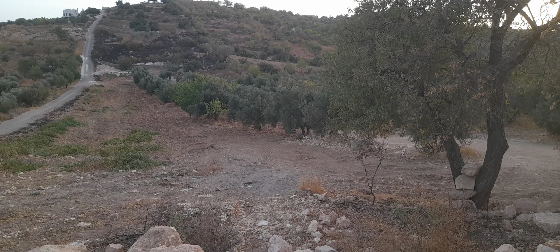 أرض في عجلون صخرة حوض كفريا - 45,000 دأ - صورة 1