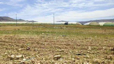 أرض في ارض مميزه  البناء شاليه او سكن - 30,000 دأ - صورة NaN