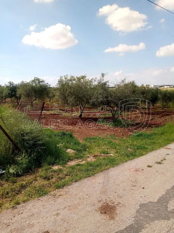 أرض في غرب منطقة النديم والحراويه غرب دوار الطياره  2 كم  - 120,000 دأ - صورة 1