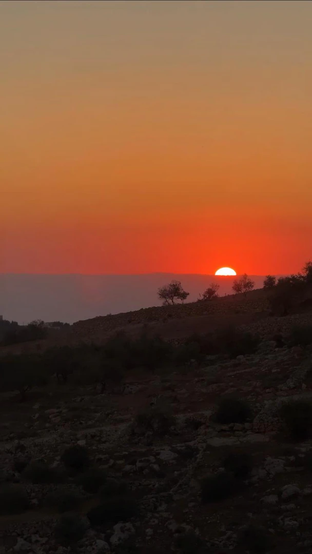 أرض في قرية البصه ضاحية السليحات - 120,000 دأ - صورة 1