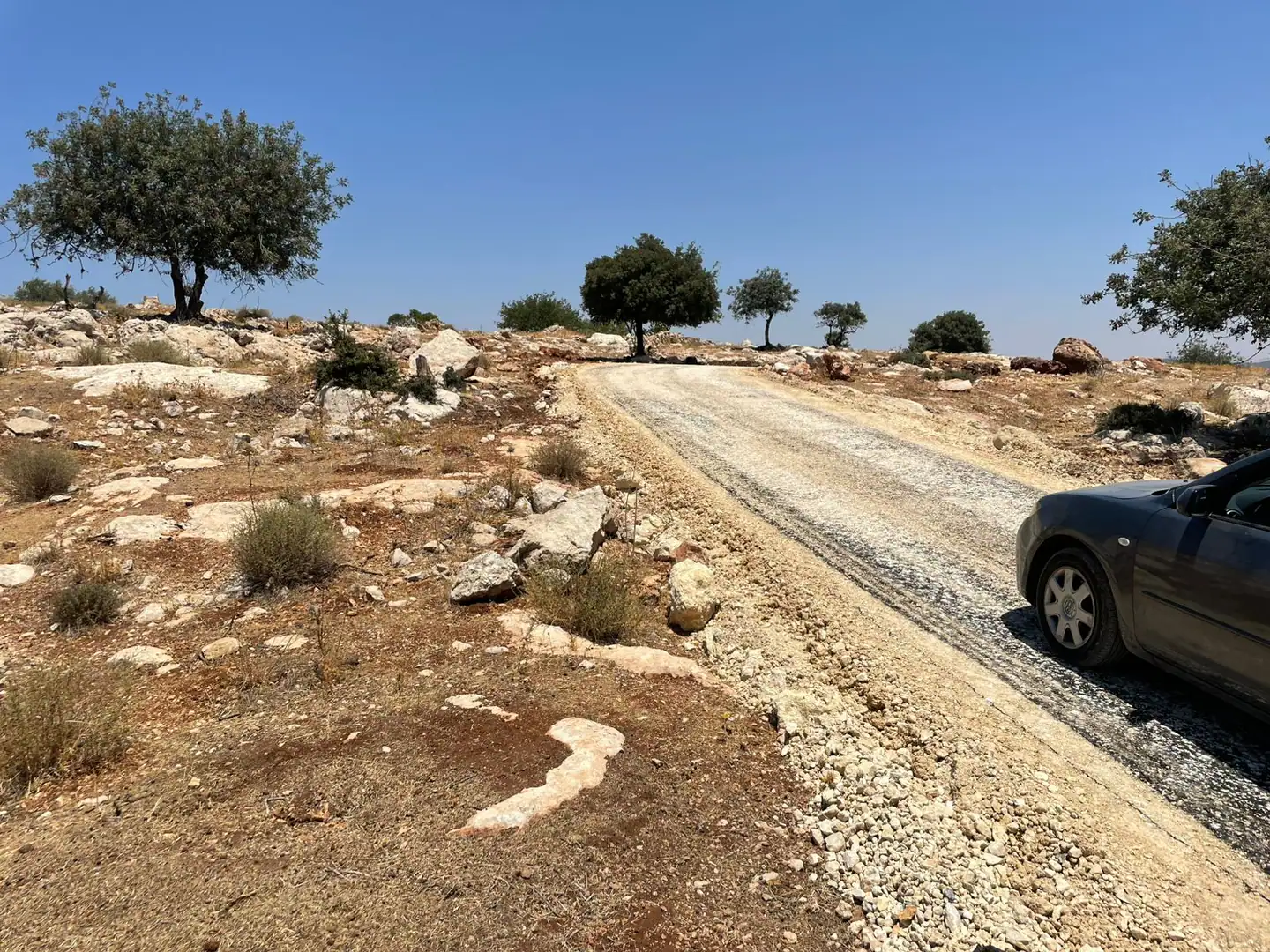 أرض في بالقرب من مدرسة وروضة العلالي الرياضية  - 85,000 دأ - صورة 1