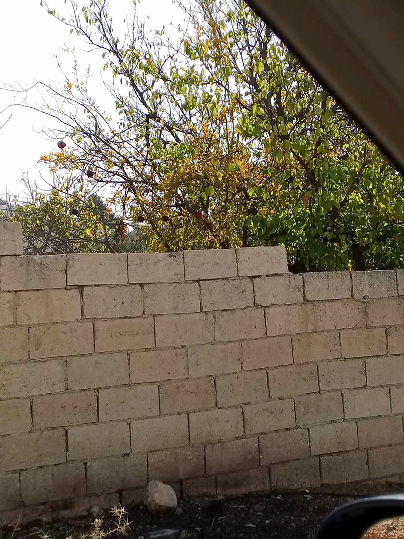 مبنى في ناعور - 150,000 دأ - صورة 1
